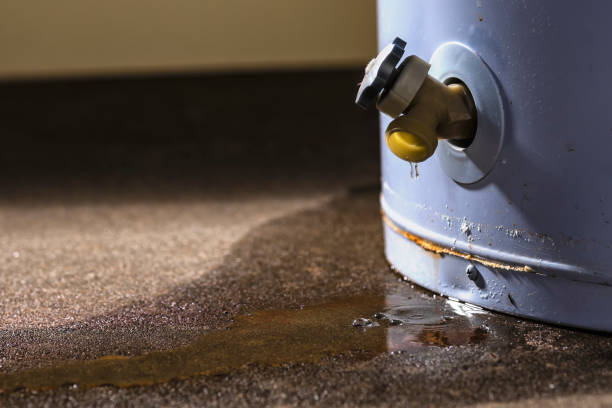 Best Professional water damage repair  in Spencerport, NY