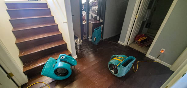 Best Water damage restoration near me  in Spencerport, NY