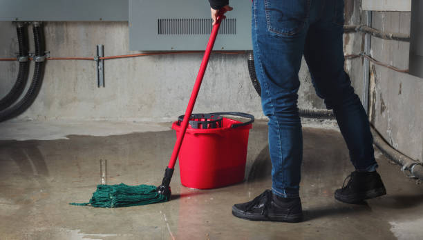 Best Commercial water damage restoration  in Spencerport, NY