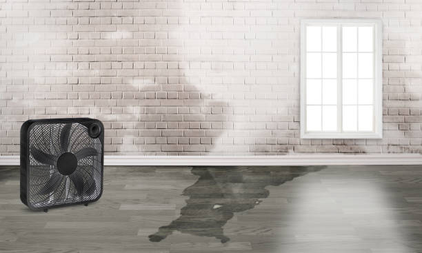 Best Water damage restoration insurance claims  in Spencerport, NY