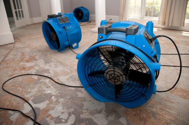Best Flooded house restoration  in Spencerport, NY