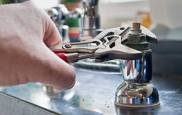 Best Mold removal after water damage  in Spencerport, NY