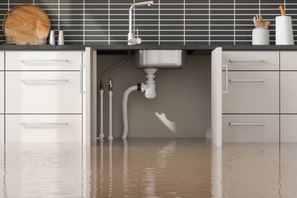 Best 24/7 water damage repair  in Spencerport, NY
