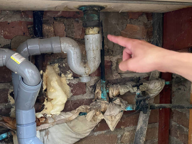 Best Flood damage cleanup  in Spencerport, NY