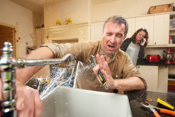 Best Water damage cleanup near me  in Spencerport, NY